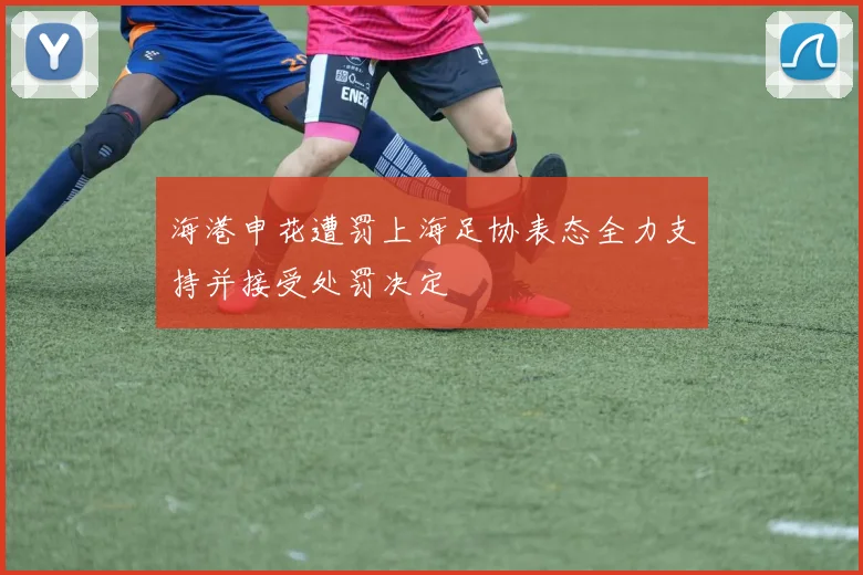 海港申花遭罚上海足协表态全力支持并接受处罚决定