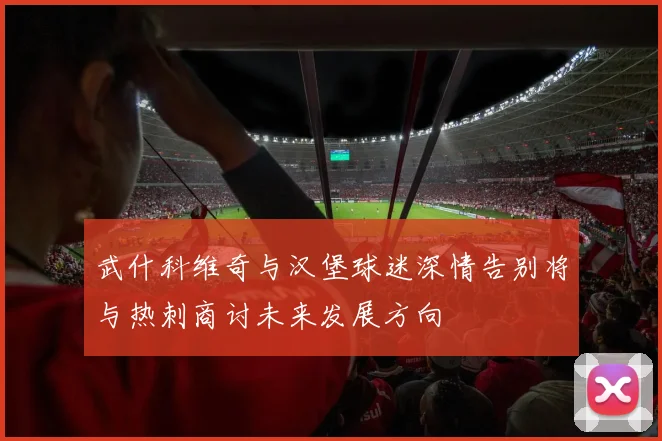 武什科维奇与汉堡球迷深情告别将与热刺商讨未来发展方向